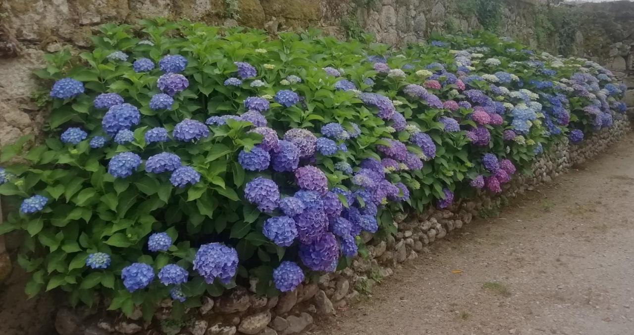 Вілла Quinta Da Tapada Аво  Екстер'єр фото